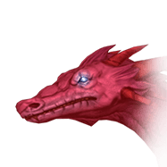 Raetrix1
