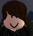 Brown Shaggy