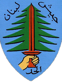 File:SLA patch.png