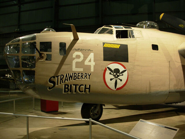 File:StrawberryBitch.jpg