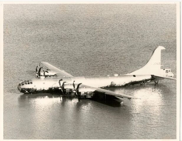 File:KeeBird0001.jpg