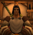 Thumbnail for version as of 19:34, November 9, 2008