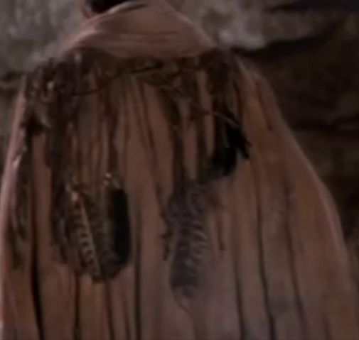 File:512px-Cloak.png
