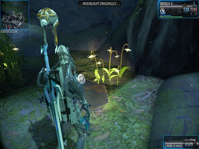 File:Cicero Moonlight Dragonlily.jpg
