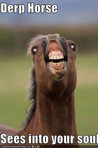 File:Derp.jpg