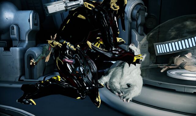 File:Pet Baby Kubrow 2.jpg