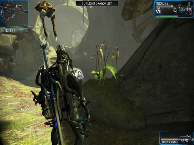 File:Cicero Sunlight Dragonlily.jpg