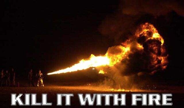 File:Kill it with fire-s670x394-132457.jpg