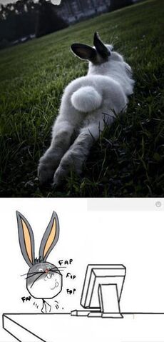 File:XD.jpg
