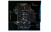 FullMini-Map