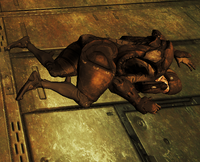 Grineer Lootable.png