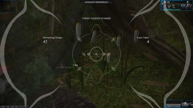 File:Sunlight Dragonlilly.jpg