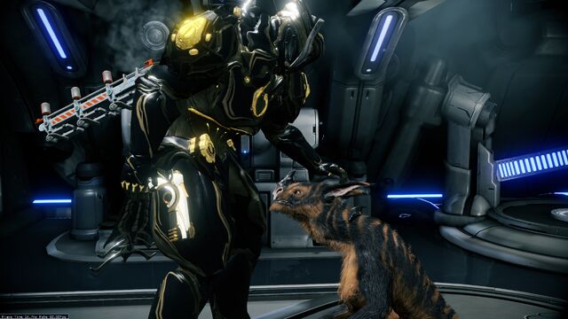 File:Tiger Kubrow Grown up.jpg
