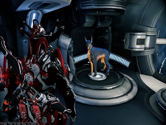 File:Kubrow bug ~K2.jpg