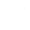LentilleNaramonWhite.png