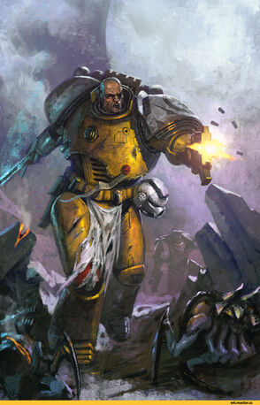 Warhammer-40000-фэндомы-Imperium-660207.jpeg