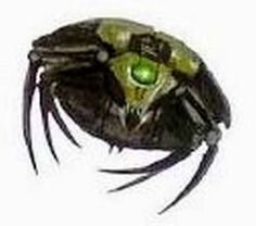 Necron Scarab.jpg