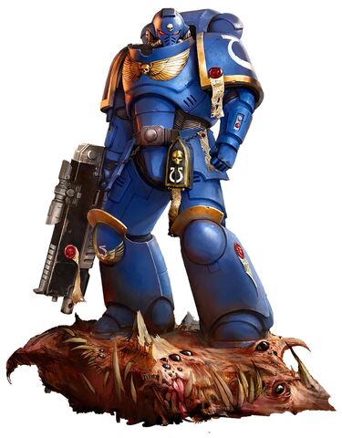 File:UM Primaris Space Marine.jpg