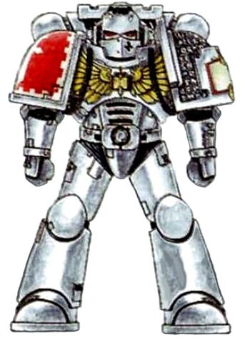 File:Grey Knight Battle-Brother scheme2.jpg