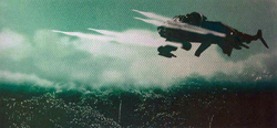 Vulture5