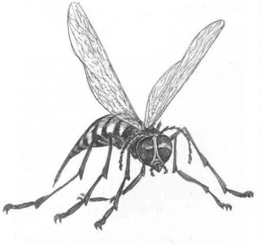 File:W40K Psychneuein.jpg