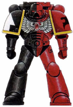 Black Wings Scheme