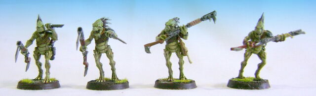 File:KrootKindred.jpg