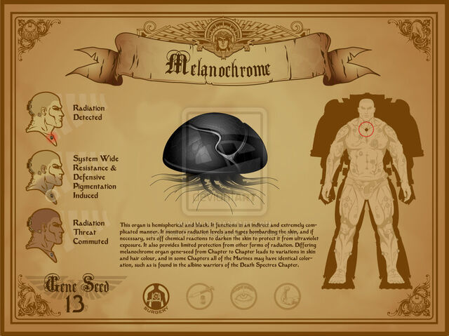 File:Space marine melanochrome by the first magelord-d4beby3.jpg