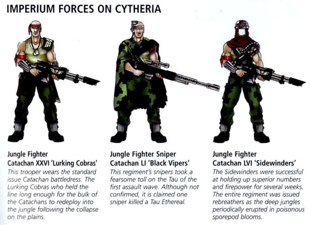 File:CatachanFightersCytheria.jpg