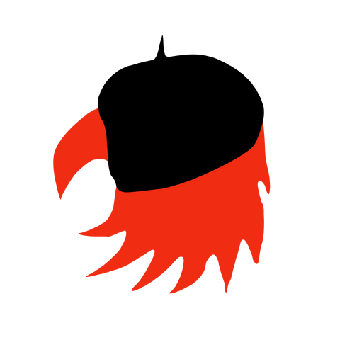 File:Solar Hawks 2000x2000.png