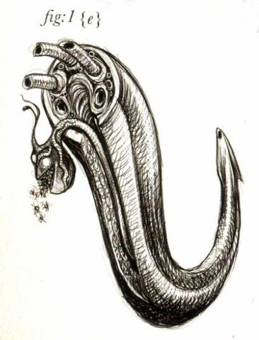 File:Ovipositor.jpg