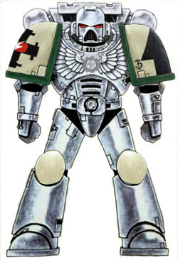 Steel Confessors Scheme