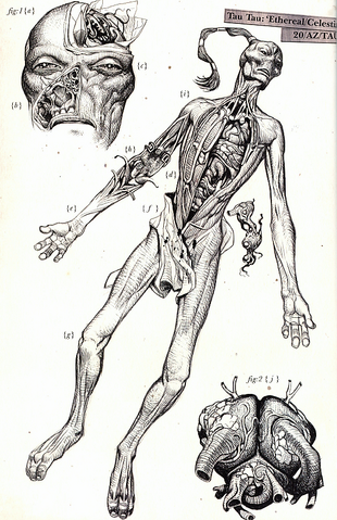 File:EtherealDissection.png
