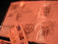 Thumbnail for version as of 16:41, October 15, 2011