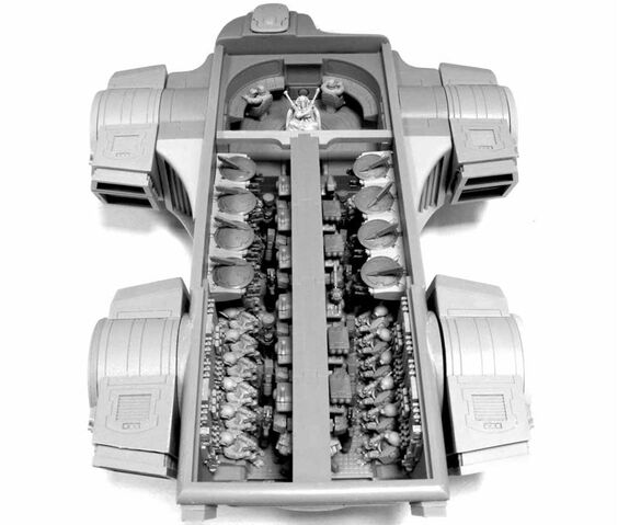 File:Orca15.jpg