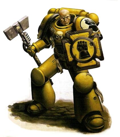 File:Imperial Fists Veteran Brother.jpg