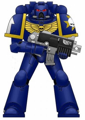 File:Imperial Paladins Marine.jpg