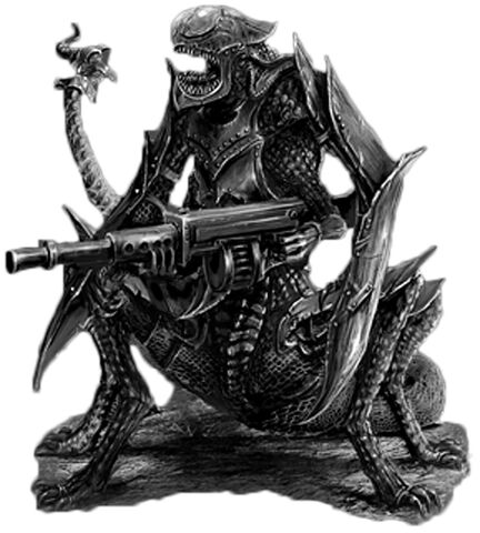 File:Rak'Gol Marauder.jpg