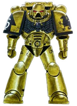 Golden Gryphons Battle-Brother
