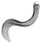 Squig-hairy.jpg