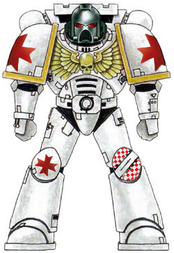 Hospitalers Astartes