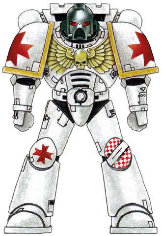 File:Hospitalers Astartes.jpg