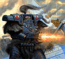 Nordstrand-13th co wolfguard-web