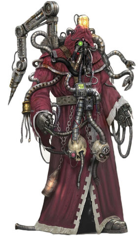 File:Magos Juris Konstantyn Ambolic.jpg