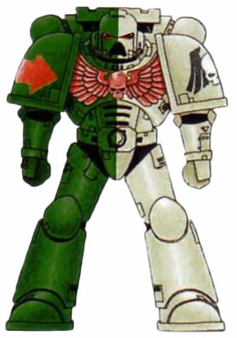 File:AoR Marine.jpg