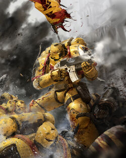 Image result for Imperial Fists