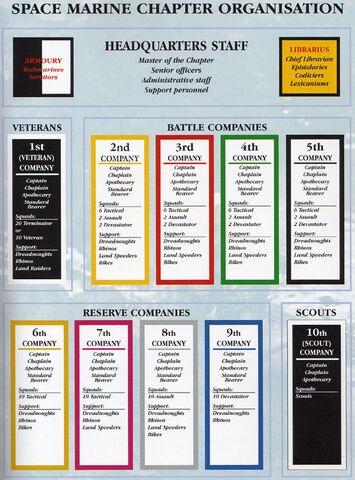 File:CodexOrganisation.jpg