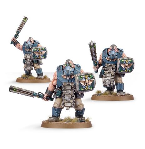 File:99120105053 Bullgryns02.jpg