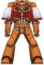 Phoenix Brethren Marine