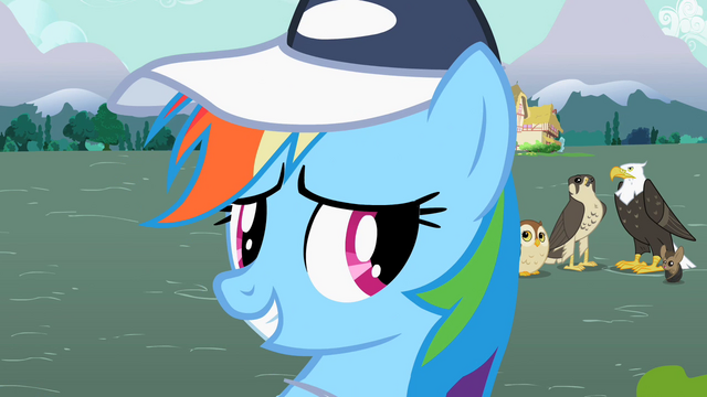 File:S2E07 Rainbow Dash smiling 2.png